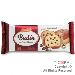 BUDIN CON CHIP DE CHOCOLATE 170GRMS CONDESA x 1